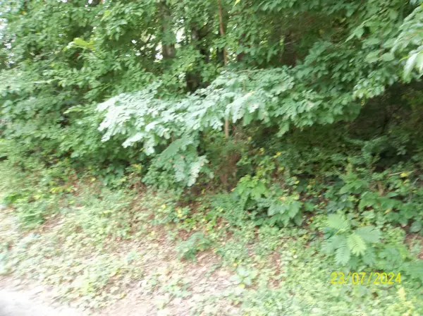 00 Bays View Road, Kingsport, TN 37660