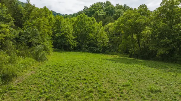 Lot 2 War Creek Road, Eidson, TN 37731