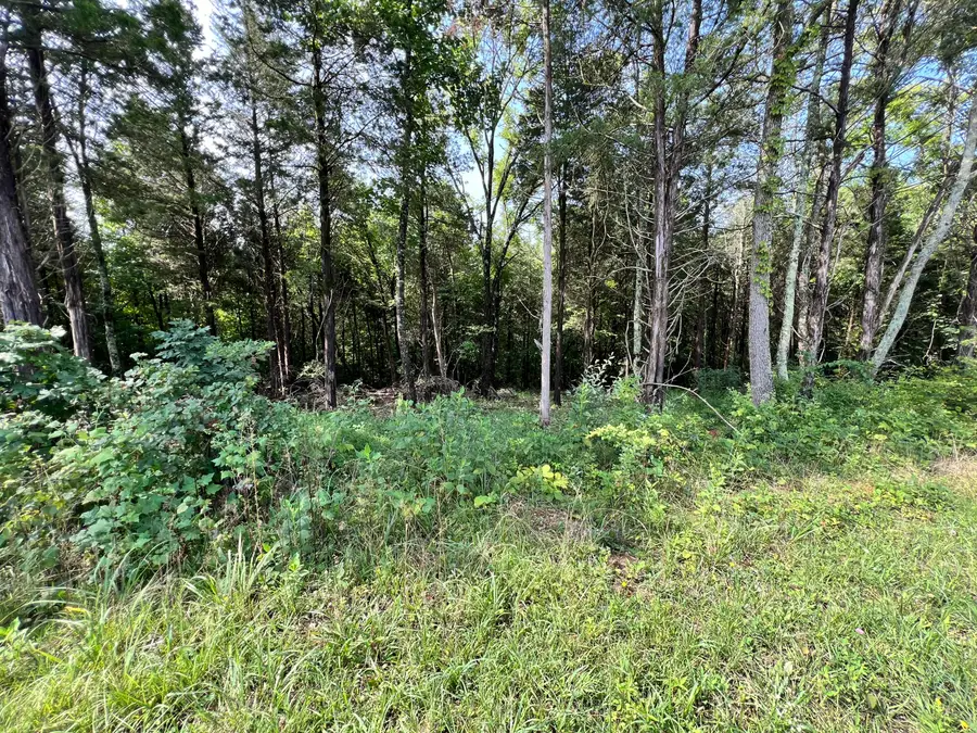 Lot 178 Hill Trail Drive, Morristown, TN 37814 - Image #3