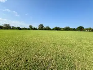 Lot 142 Arbor Lane, Dandridge, TN 37725 - Image #3