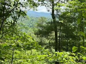 0-A Gulf Road, Hartford, TN 37753 - Image #2