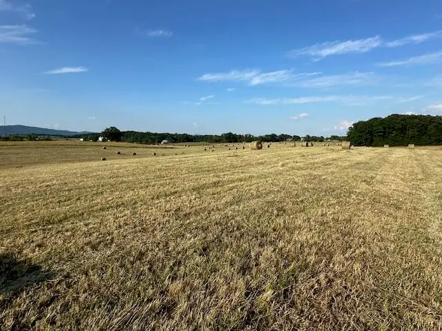 2205 Flatwoods Road, Mosheim, TN 37818 - Image #3