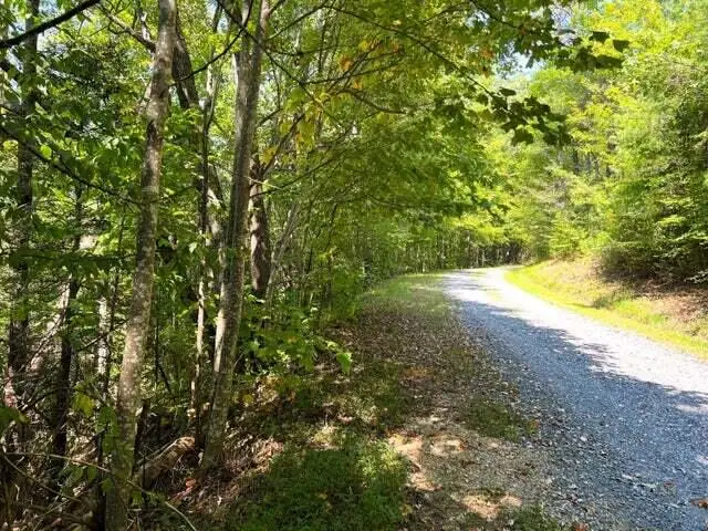 Tract 8 Faith Mtn Way, Hartford, TN 37753 - Image #1