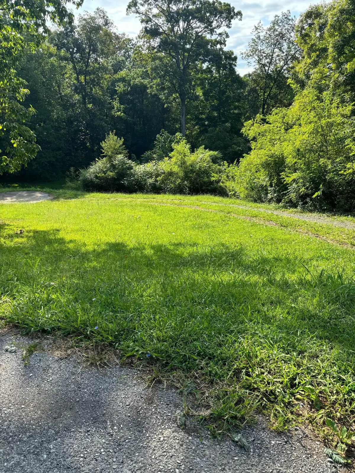 1134 Shannons Little Mountain Road, Morristown, TN 37814 - Image #1