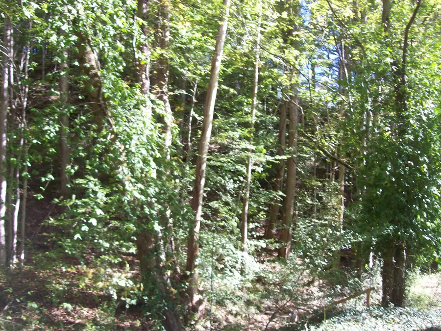 0 Beech Street, Sneedville, TN 37869 - Image #2