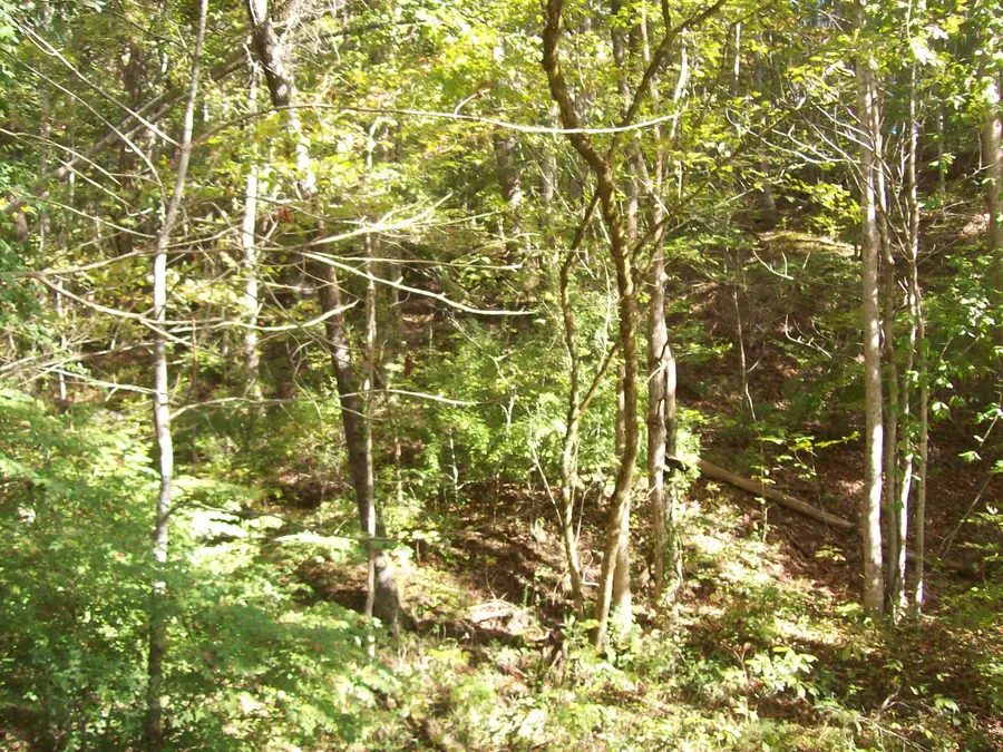 0 Beech Street, Sneedville, TN 37869 - Image #3