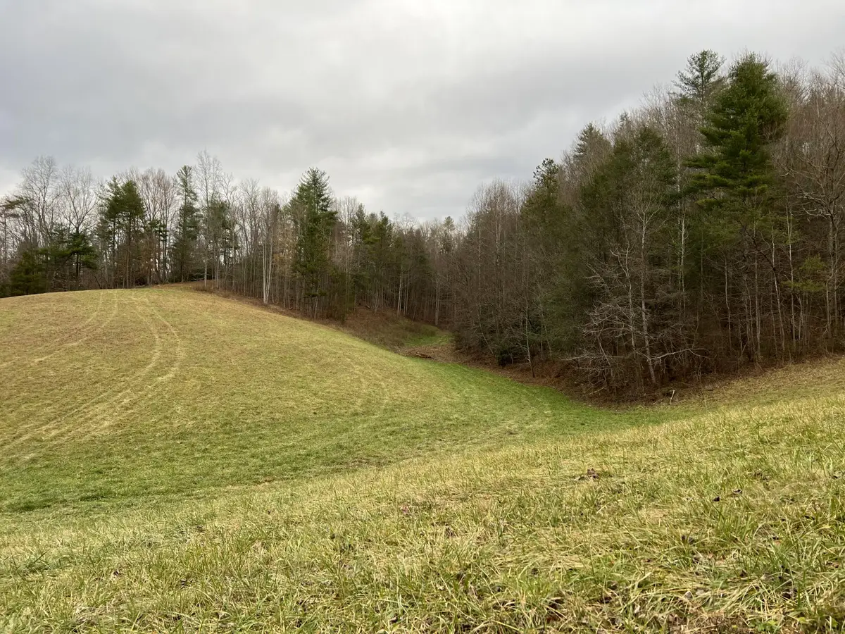 00 Blue Mill Road, Del Rio, TN 37727 - Image #1