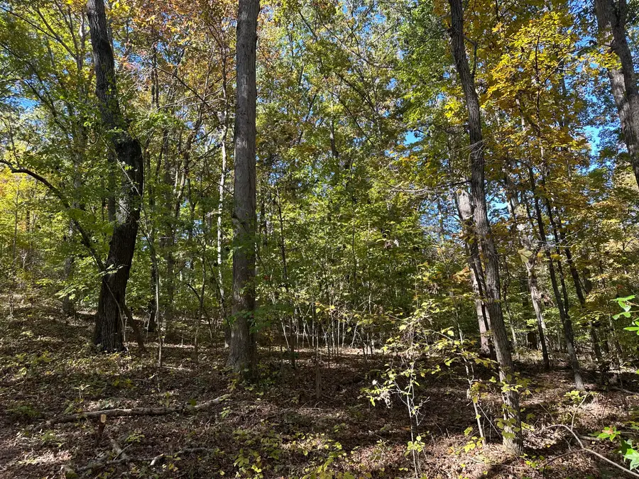 00 Lot 1215 Iron Gate Drive, Baneberry, TN 37890 - Image #2