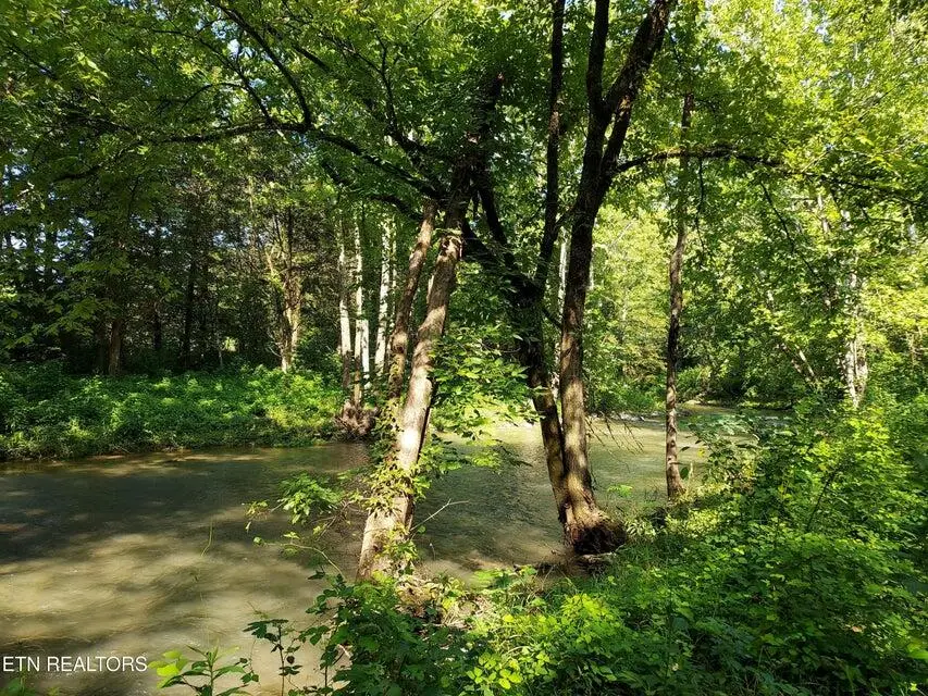 TBD Pawpaw Road, Thorn Hill, TN 37881 - Image #1