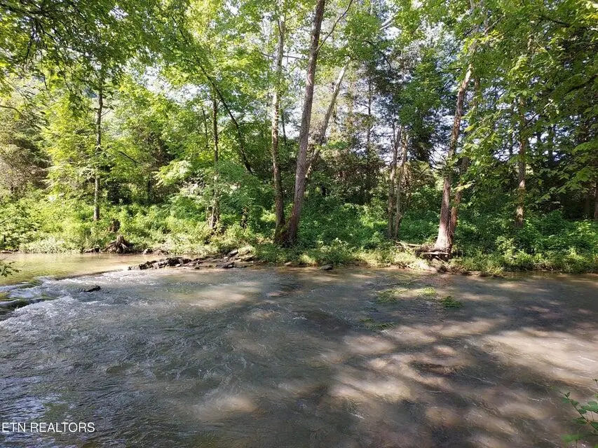 TBD Pawpaw Road, Thorn Hill, TN 37881 - Image #2