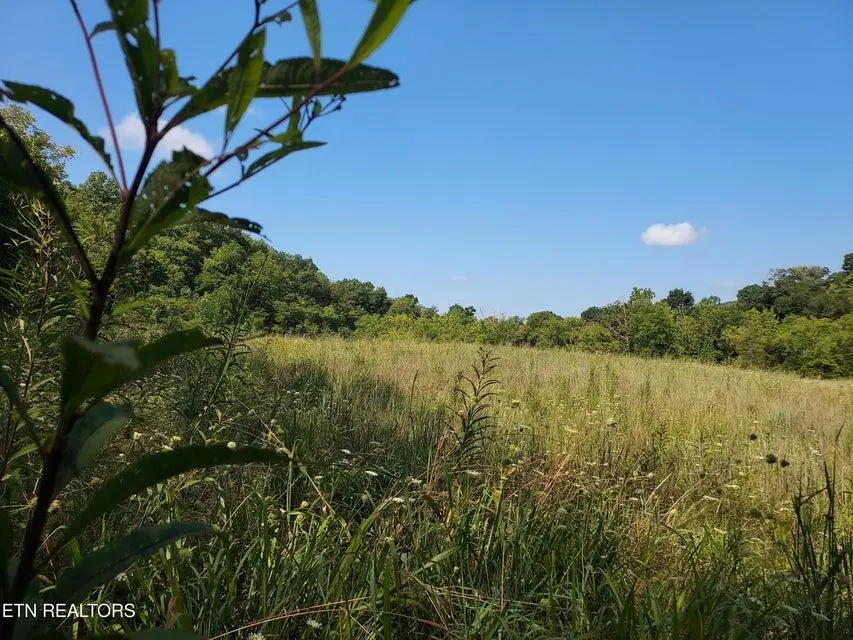 TBD Pawpaw Road, Thorn Hill, TN 37881 - Image #3