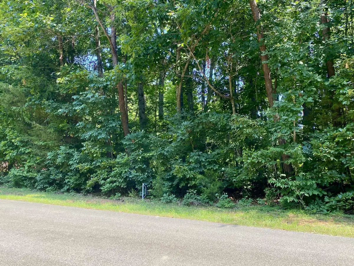 Lot 969 Iron Gate Drive, Baneberry, TN 37890 - Image #1