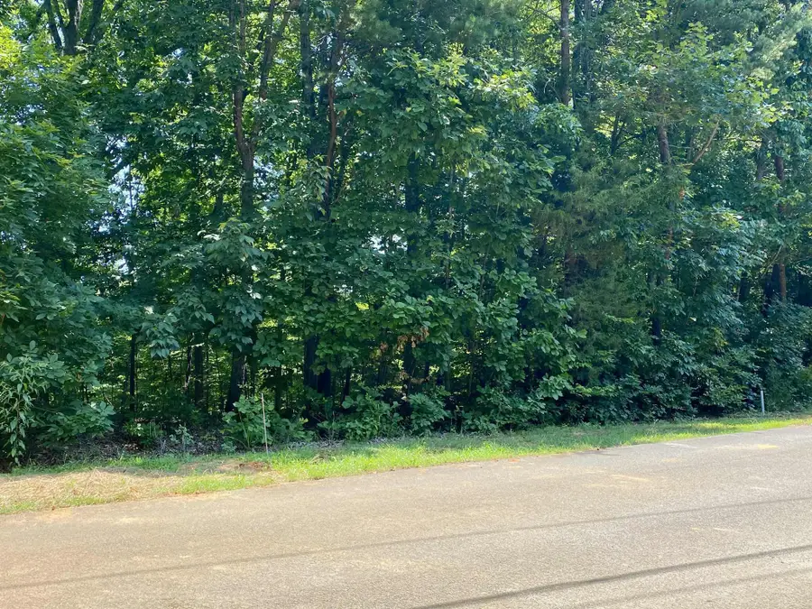 Lot 969 Iron Gate Drive, Baneberry, TN 37890 - Image #2