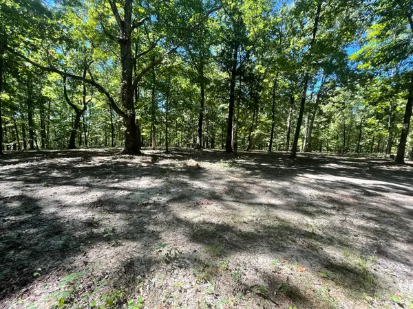 11.6 Acres Video Way, Newport, TN 37821