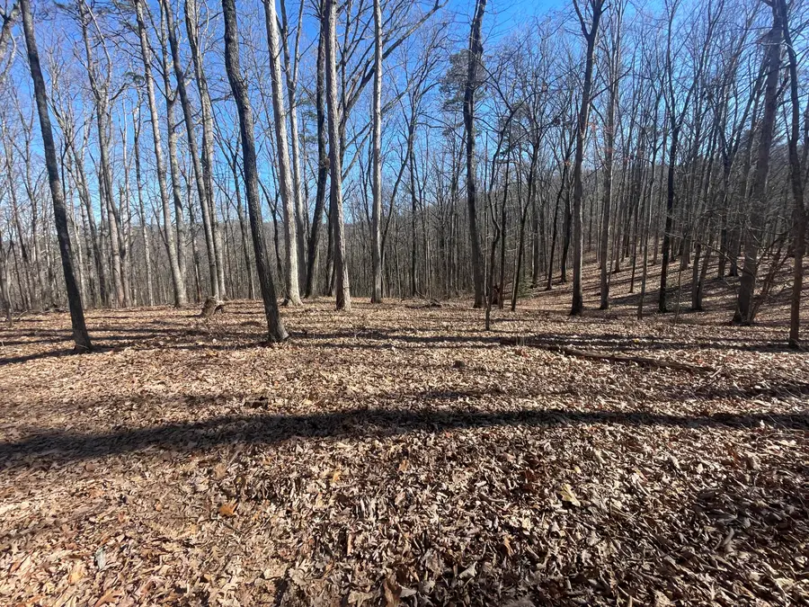 11.6 Acres Video Way, Newport, TN 37821 - Image #3