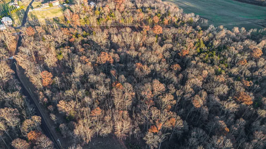 218 Panormic View Drive, Greeneville, TN 37743 - Image #2