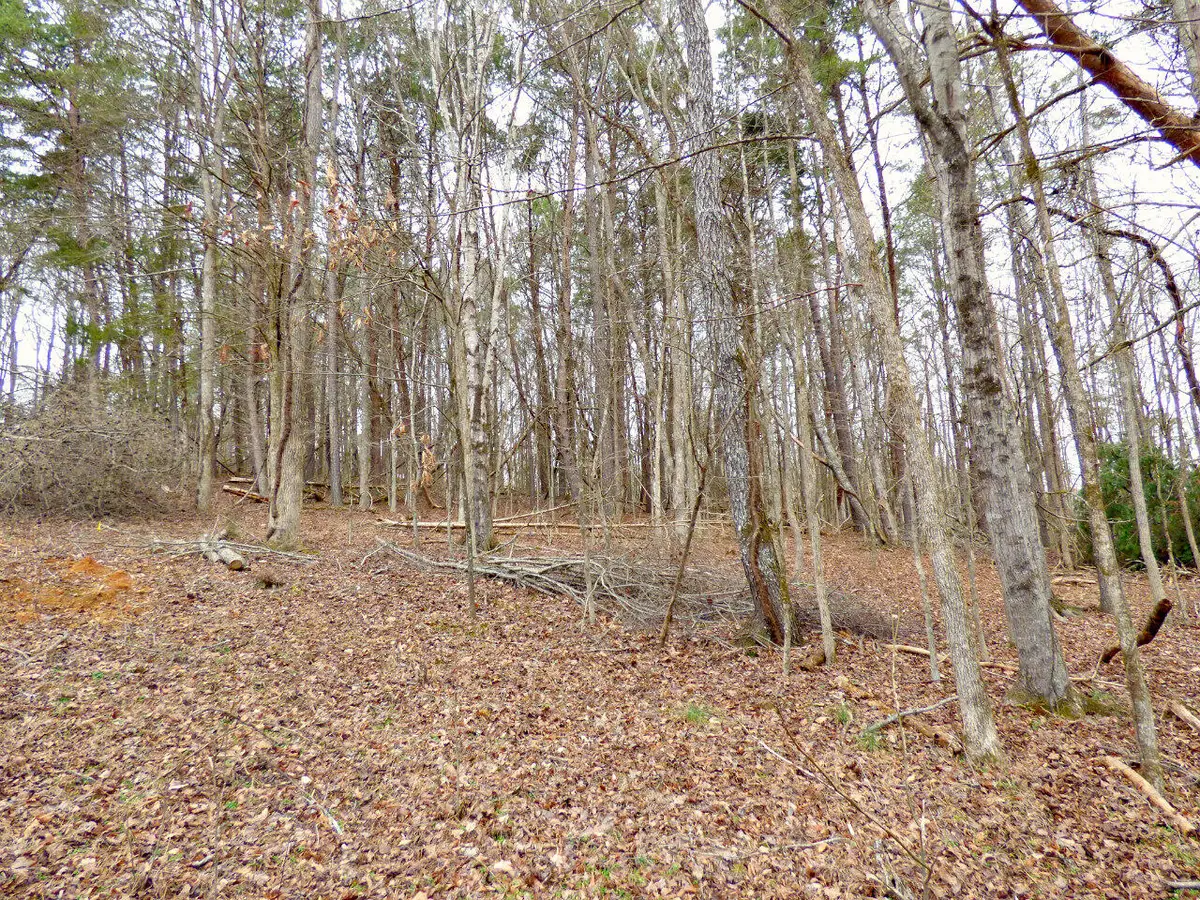 Lot 13 Back Nine Drive, Baneberry, TN 37890 - Image #1
