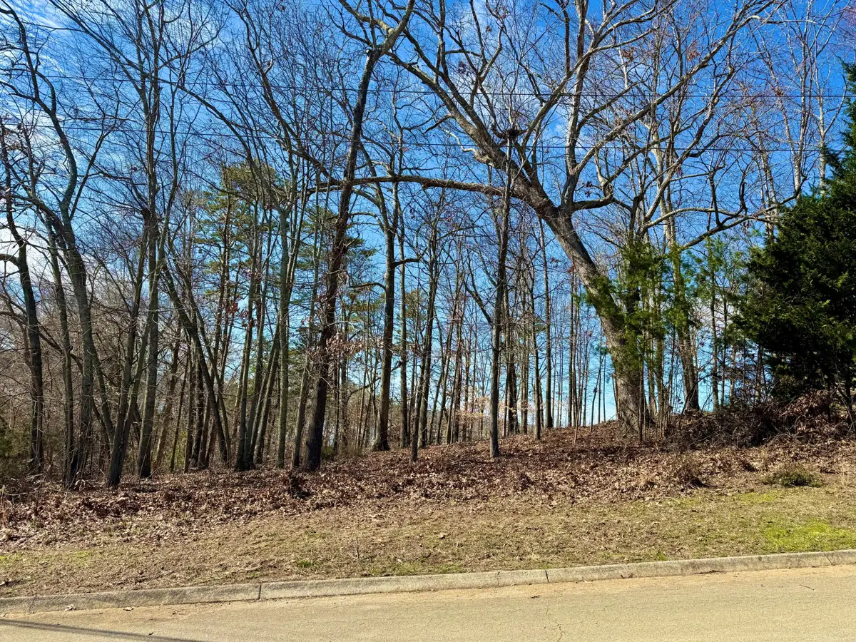 Lot 37 Lake Vista Drive, Baneberry, TN 37890 - Image #1
