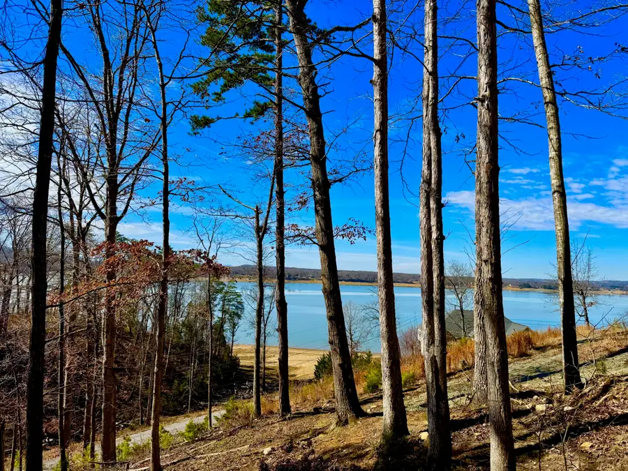 Lot 37 Lake Vista Drive, Baneberry, TN 37890 - Image #2