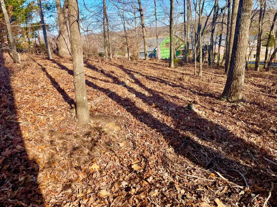 Lot 37 Lake Vista Drive, Baneberry, TN 37890 - Image #3