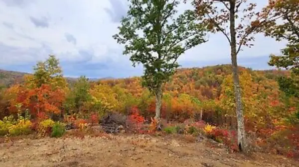 0 Pressmens Home Road, Rogersville, TN 37857