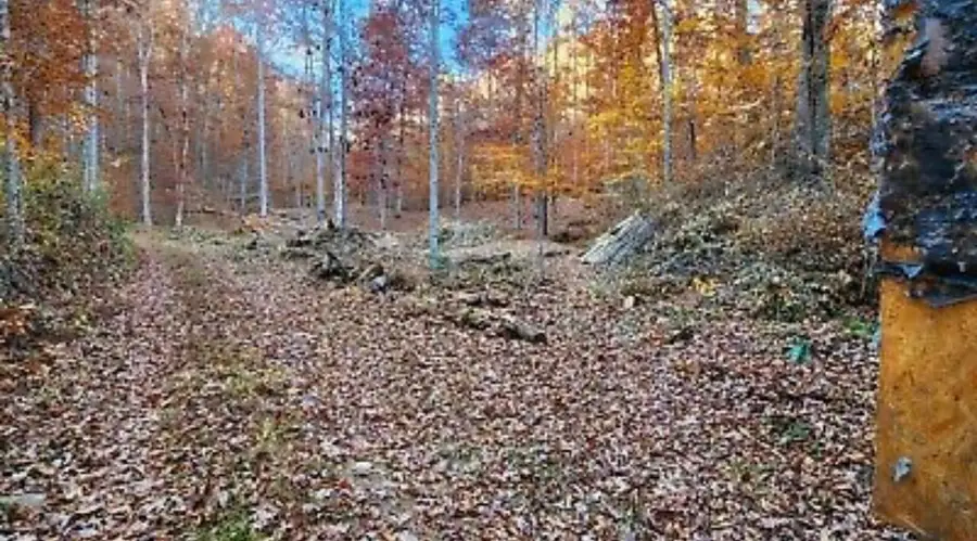 0 Pressmens Home Road, Rogersville, TN 37857 - Image #2