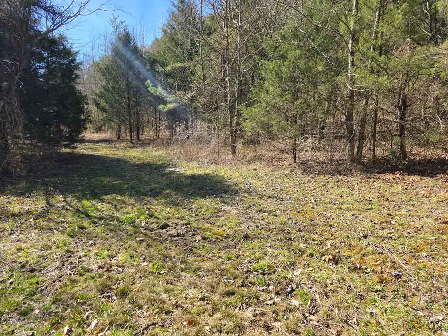 TBD Lewis Road, Sneedville, TN 37869 - Image #3
