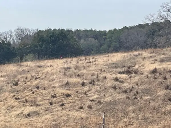 Lot 2 Wolfe Branch Road, Bulls Gap, TN 37711