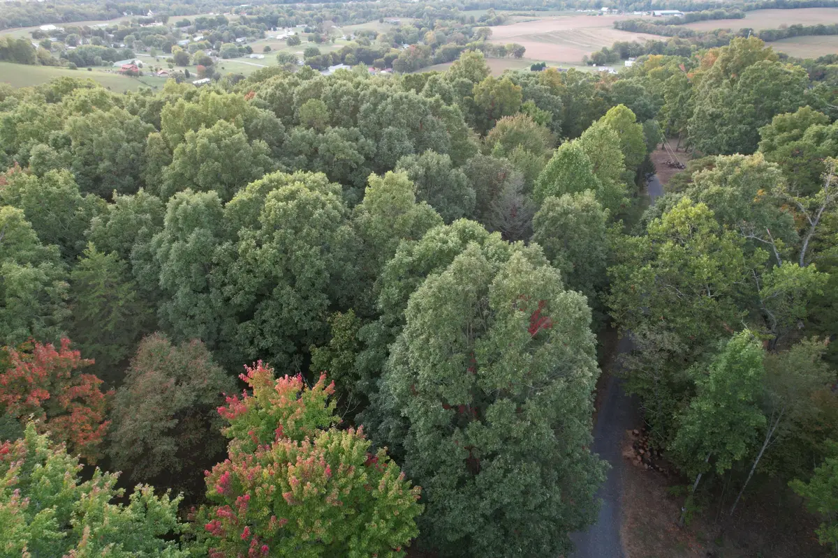 3.97 acres Bridges Chapel Road, Newport, TN 37821 - Image #1