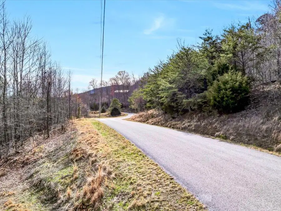 Lot 553 Whistle Valley Road, New Tazewell, TN 37825 - Image #2