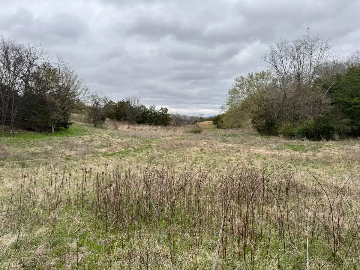 2424 Freshour Hollow Road Road, Parrottsville, TN 37843 - Image #1