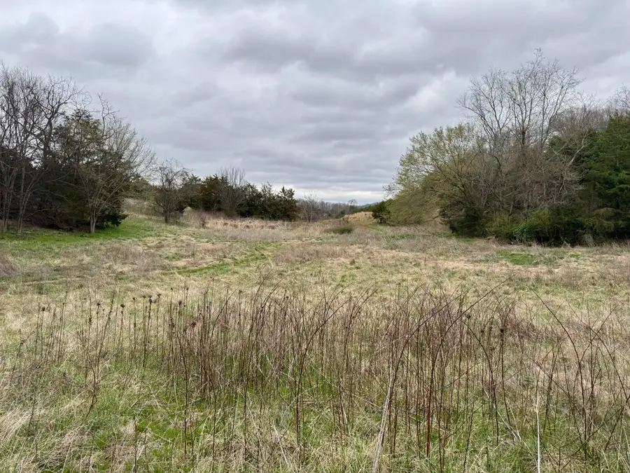 2424 Freshour Hollow Road Road, Parrottsville, TN 37843 - Image #3