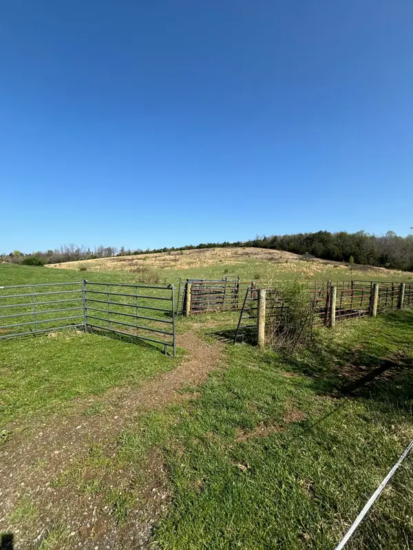 00 Shinbone/e. Sugar Hollow Road, Russellville, TN 37860