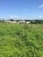 00 Shinbone/e. Sugar Hollow Road, Russellville, TN 37860 - Image #2