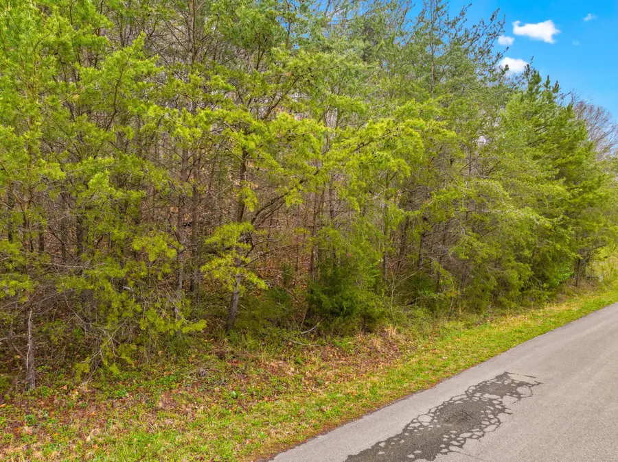 0 English Fields Drive, Newport, TN 37821 - #3