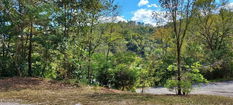 152 E Greenway Street, Sneedville, TN 37869 - Image #3