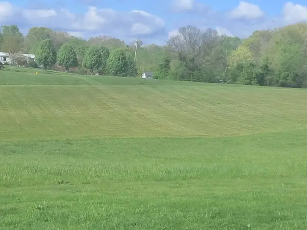 1911 Turner's Landing Road, Russellville, TN 37860