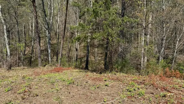 475 Bayside Boulevard, Bean Station, TN 37708