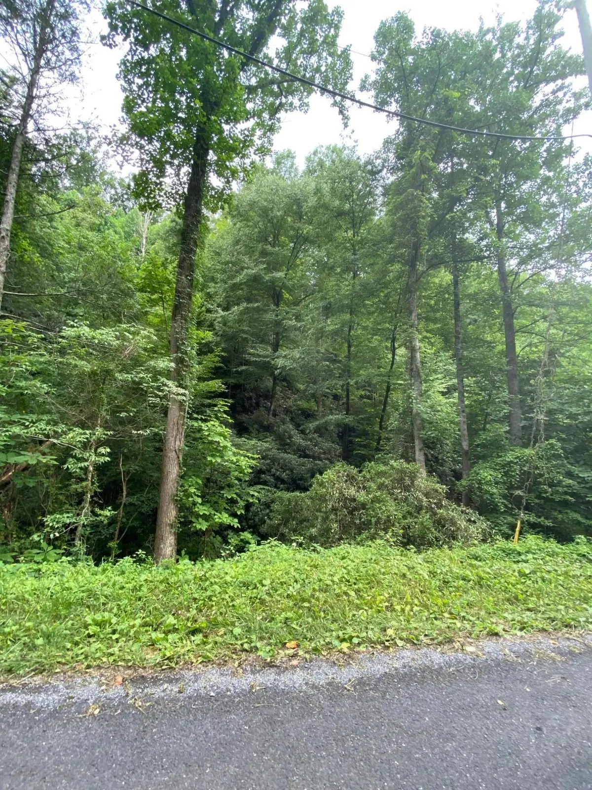 Lot 41 Raven Branch Road, Del Rio, TN 37727 - Image #1