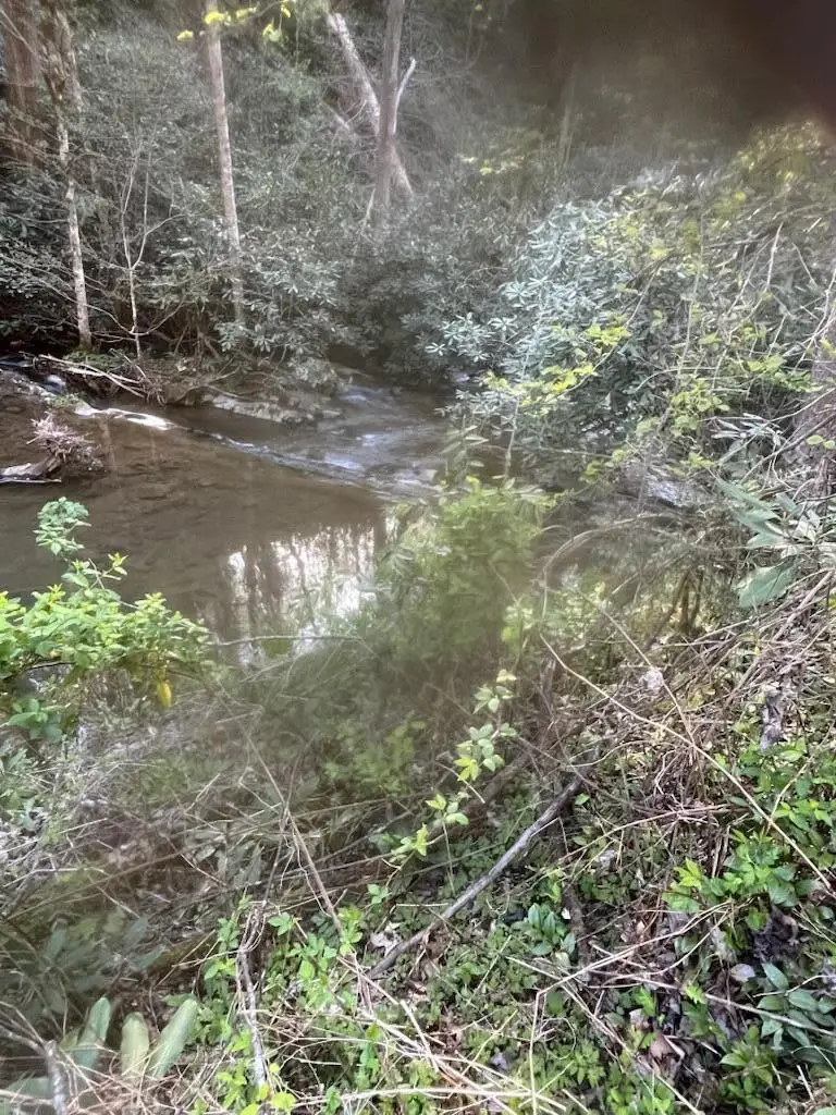 Lot 41 Raven Branch Road, Del Rio, TN 37727 - Image #2