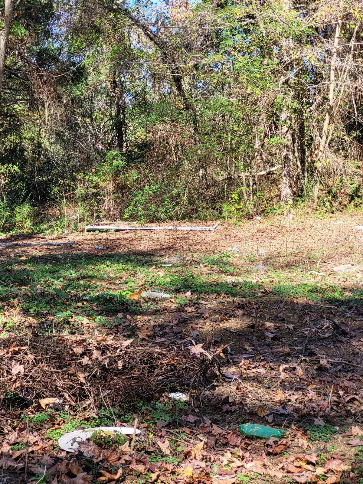 2303 Rainwater Road, Dandridge, TN 37725 - Image #1