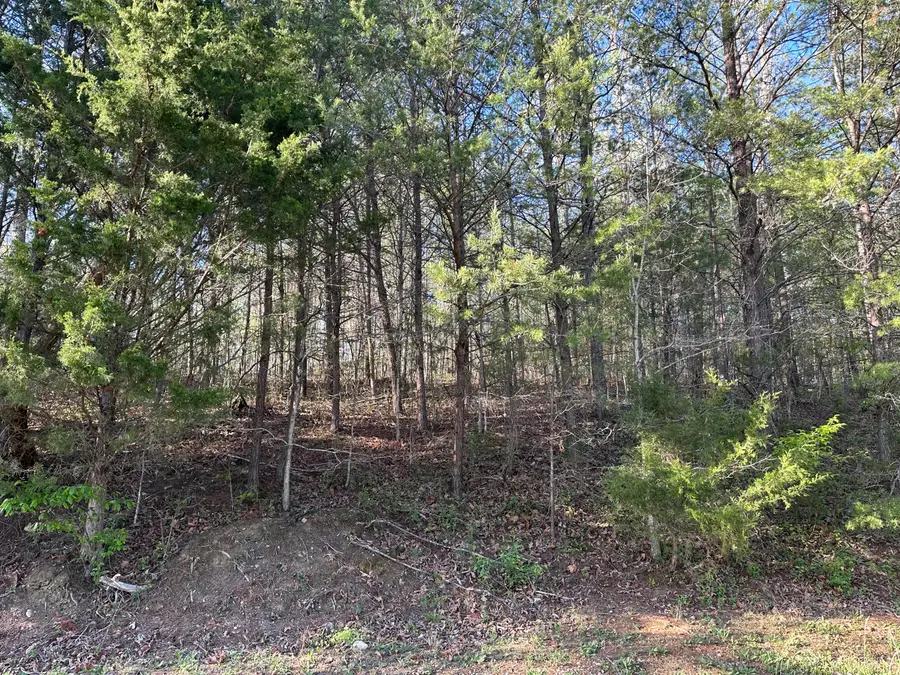Lot 1 Timber Trail, Newport, TN 37821 - Image #2