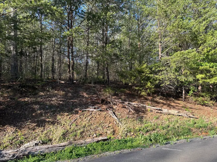 Lot 2 Timber Trail, Newport, TN 37821 - Image #3