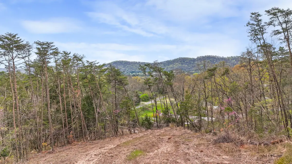 09 Reed Bull Rd, New Market, TN 37820 - Image #1