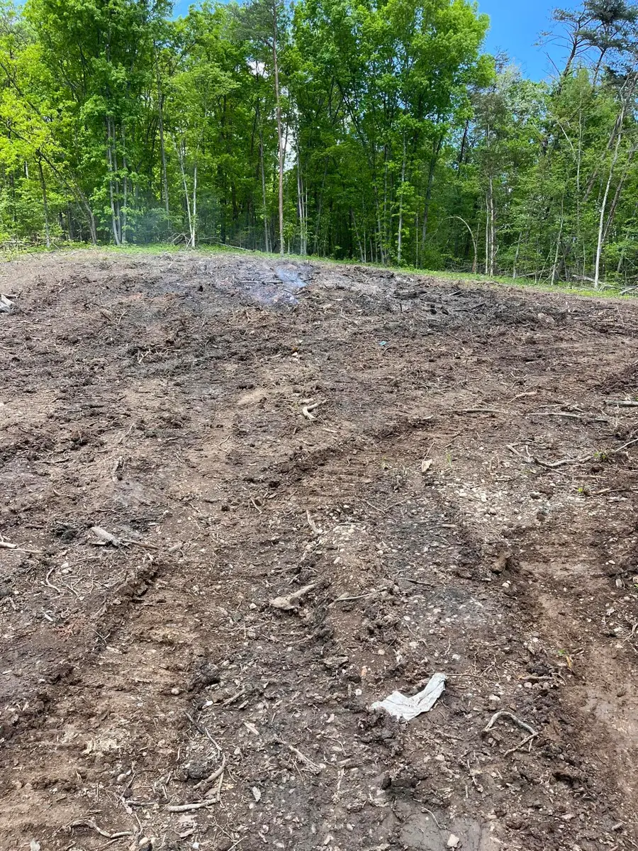 09 Reed Bull Rd, New Market, TN 37820 - Image #2