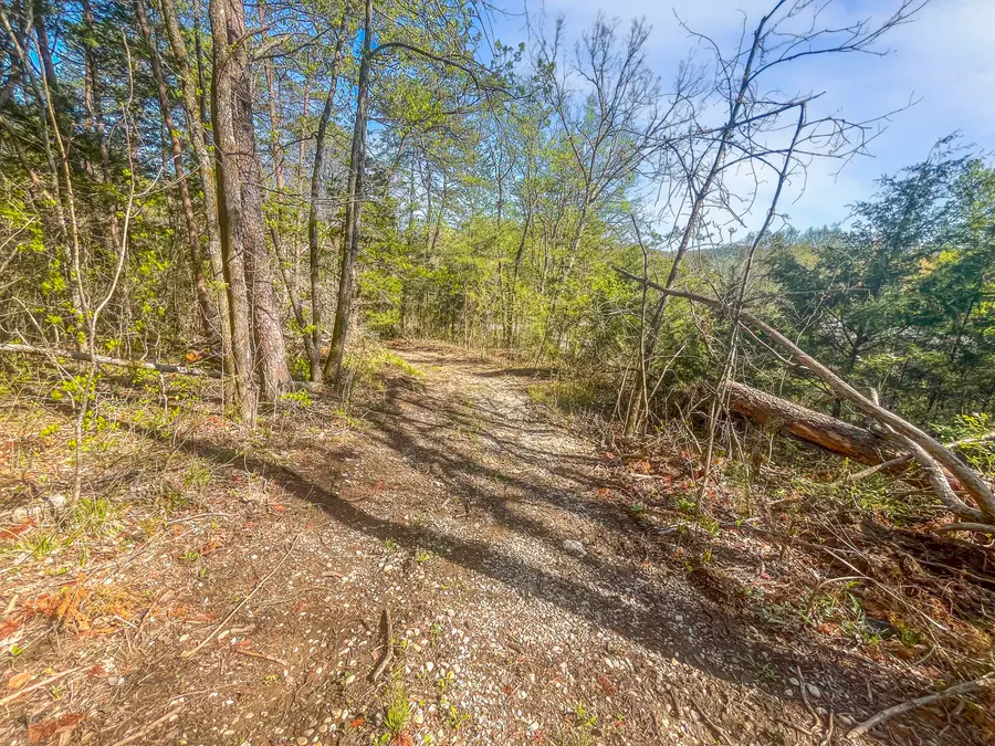 09 Reed Bull Rd, New Market, TN 37820 - Image #3