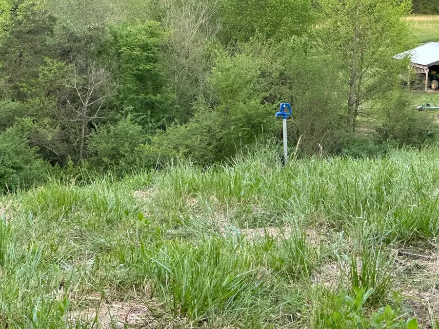 367 Catnip Road, Del Rio, TN 37727 - Image #3