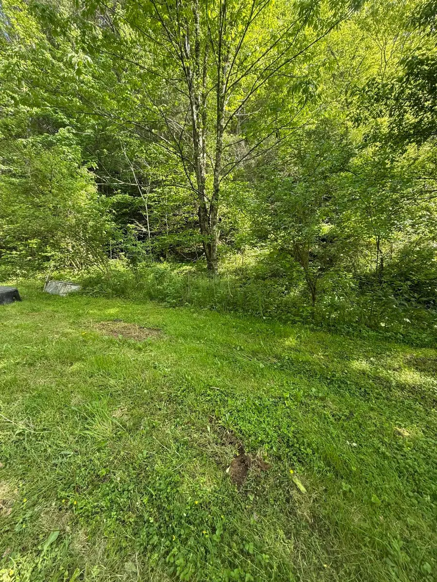 4454 Wilhite Road, Cosby, TN 37722 - Image #3