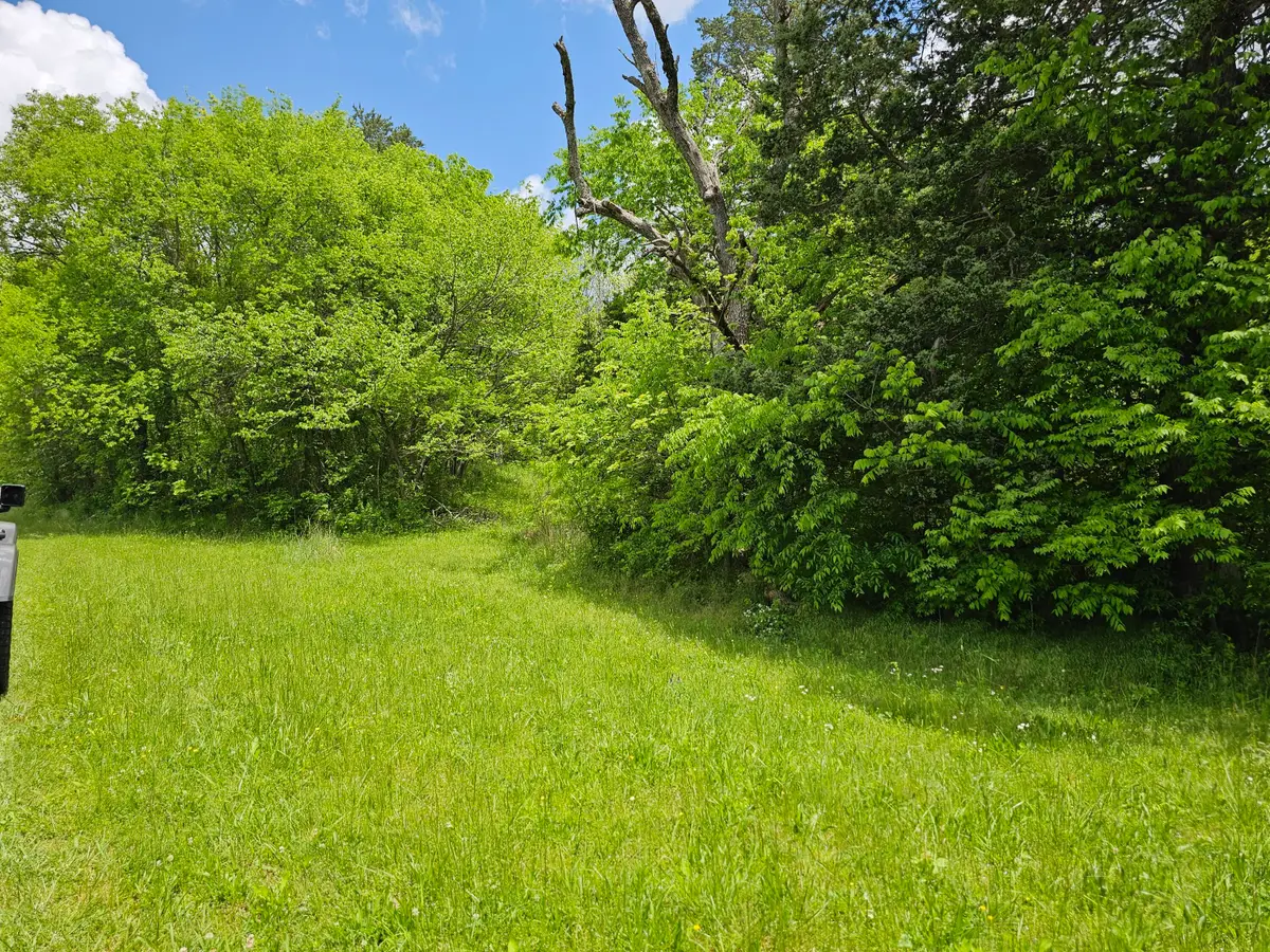 0 Long Creek Rd, Parrottsville, TN 37843 - Image #1