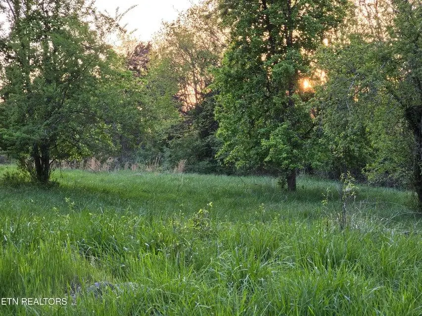 tbd LOT 1 Boatmans Mountain Road, Morristown, TN 37814 - Image #1